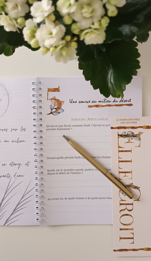 journal d'étude livre de ruth