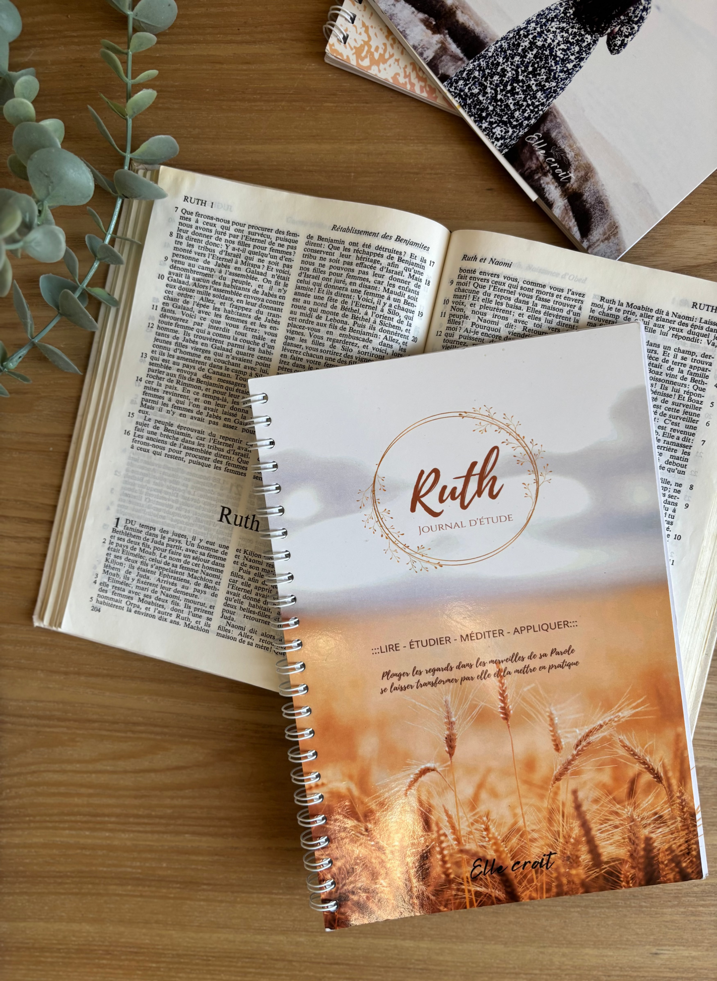 Journal d'étude - Ruth