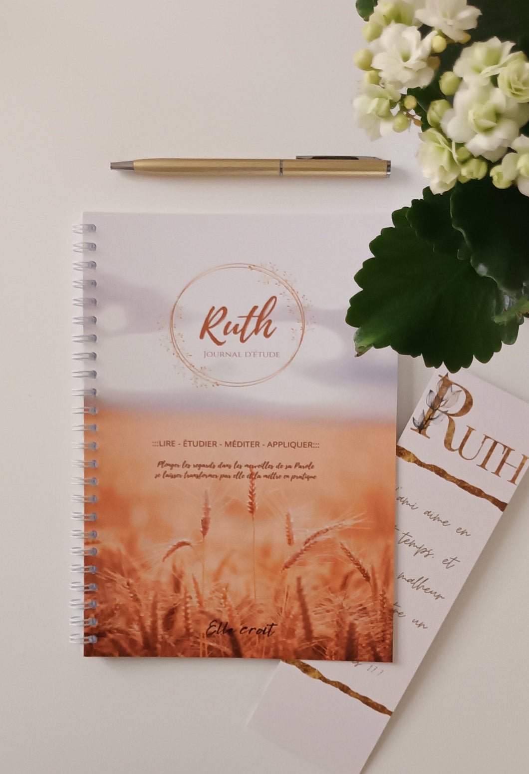 Journal d'étude Ruth - 2e chance