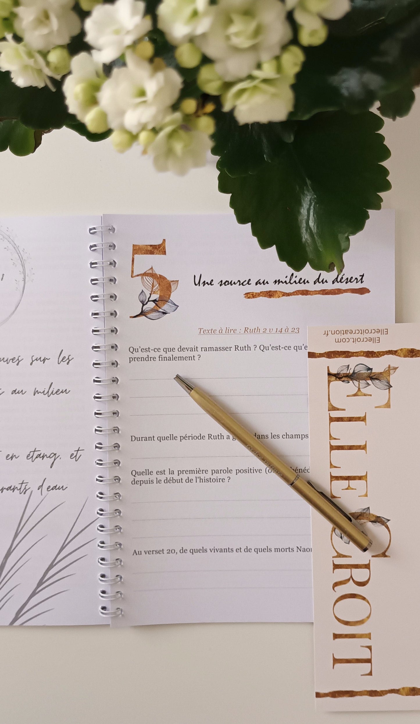 journal d'étude livre de ruth
