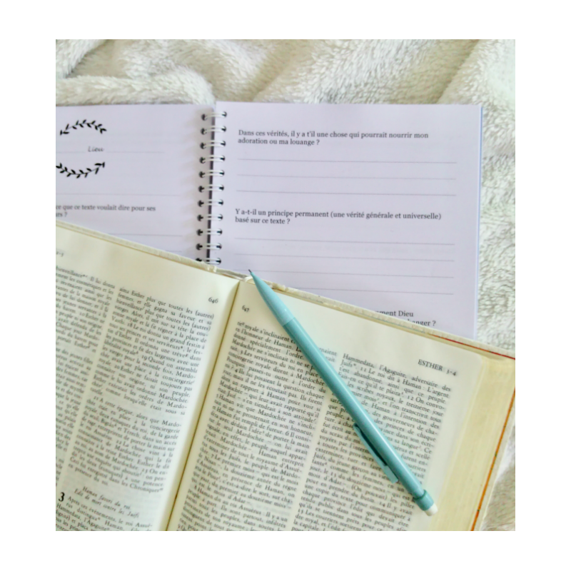 Journal de méditation - édition amplifiée
