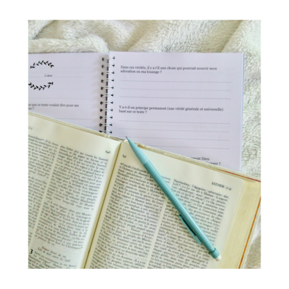Journal de méditation - édition amplifiée