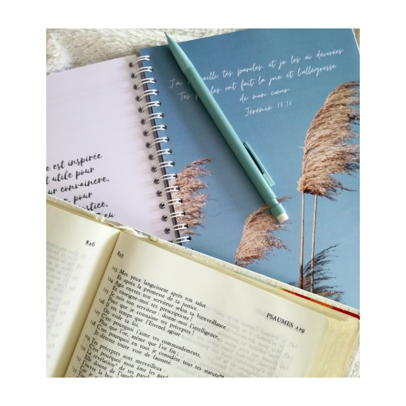 Journal de méditation - édition amplifiée