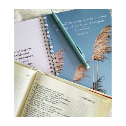 Journal de méditation - édition amplifiée