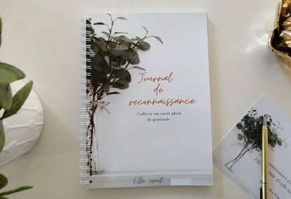 Page illustrée du journal de reconnaissance 